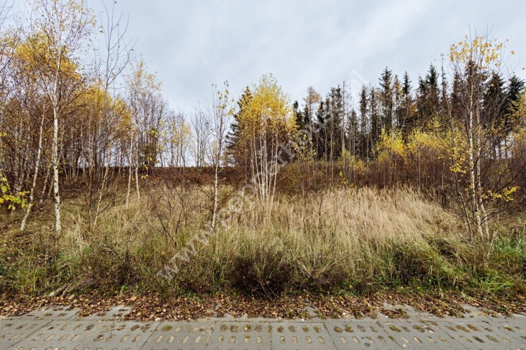 , Gdańsk, Kokoszki, Grzybowa - listing photo no. 1