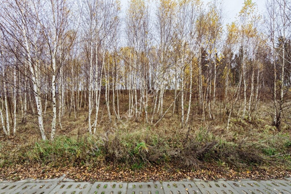 , Gdańsk, Kokoszki, Grzybowa - listing photo no. 9