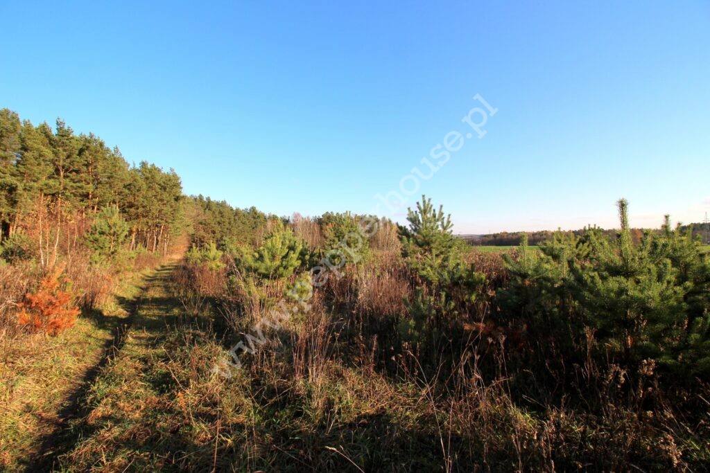 , pomorskie, Niestępowo, Kasztanowa - listing photo no. 2