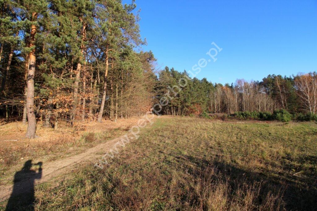 , pomorskie, Niestępowo, Kasztanowa - listing photo no. 3