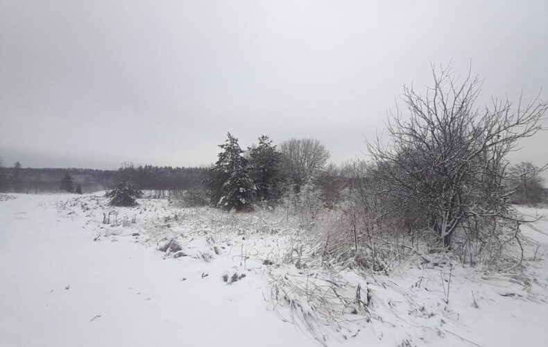 , pomorskie, Warcz