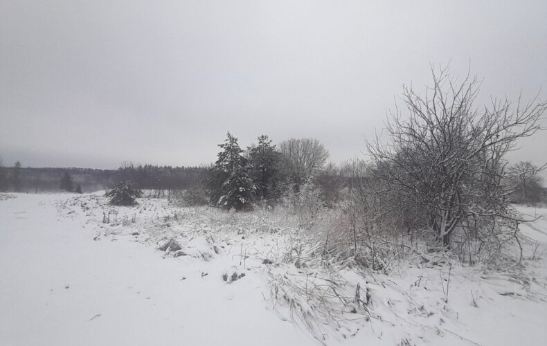 , pomorskie, Warcz
