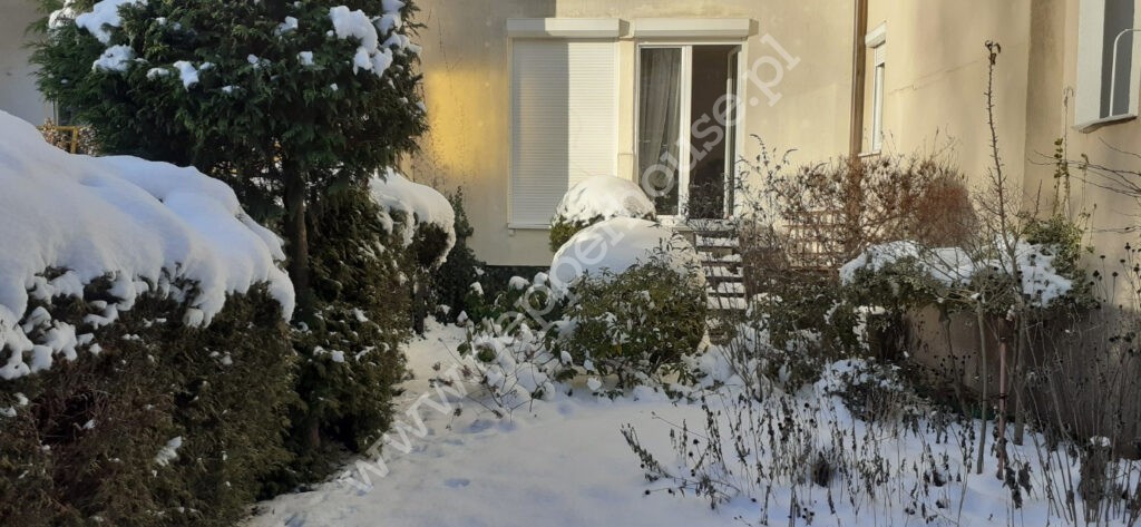 , pomorskie, Gdynia, Dąbrowa - listing photo no. 16