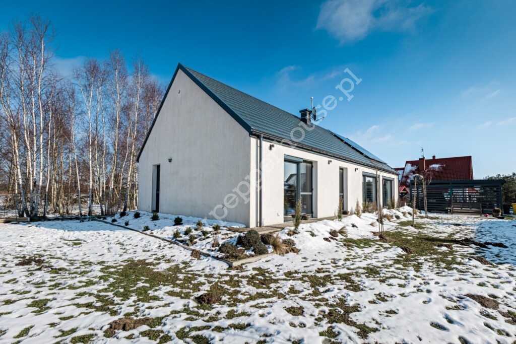 , pomorskie, Pępowo, Arniki - listing photo no. 13