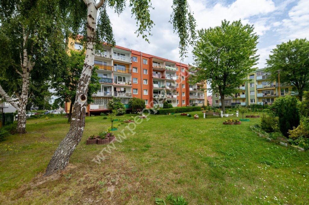 , Gdynia, Pogórze, Wiceadmirała Kazimierza Porębskiego - listing photo no. 15