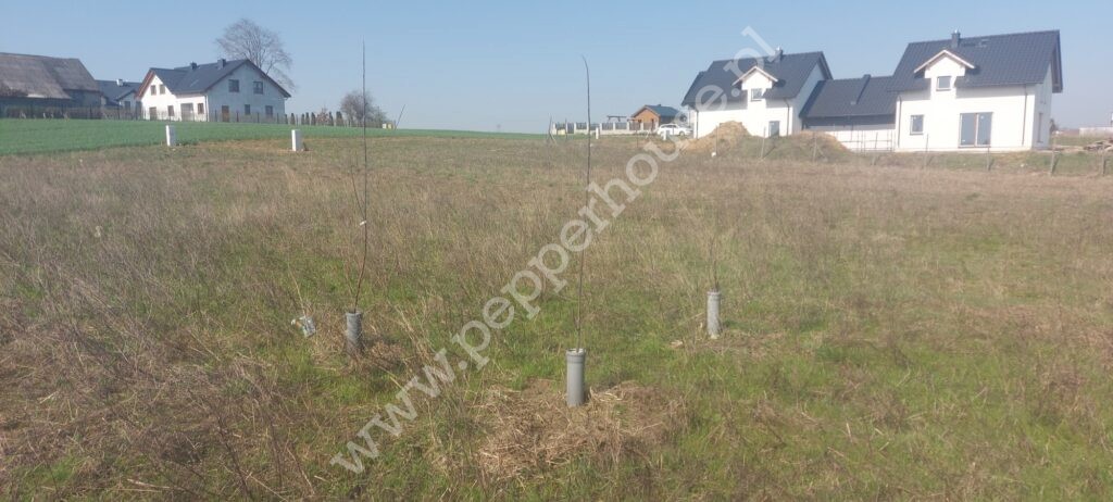 , pomorskie, Pępowo, Jana Trepczyka - listing photo no. 6