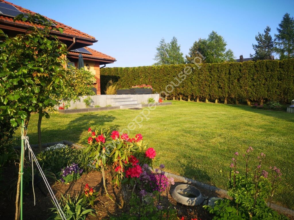 , pomorskie, Sopieszyno - listing photo no. 2