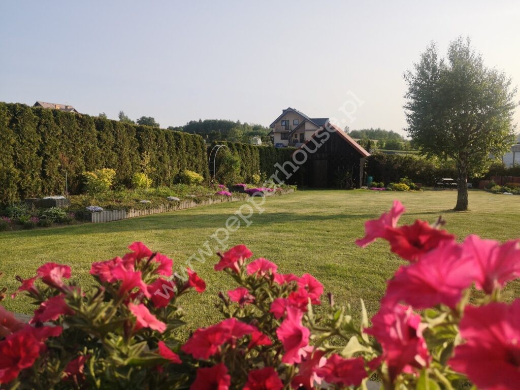 , pomorskie, Sopieszyno - listing photo no. 18