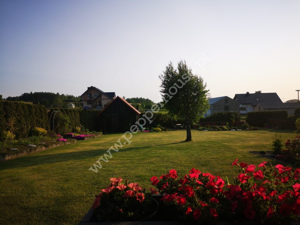 , pomorskie, Sopieszyno - listing photo no. 4