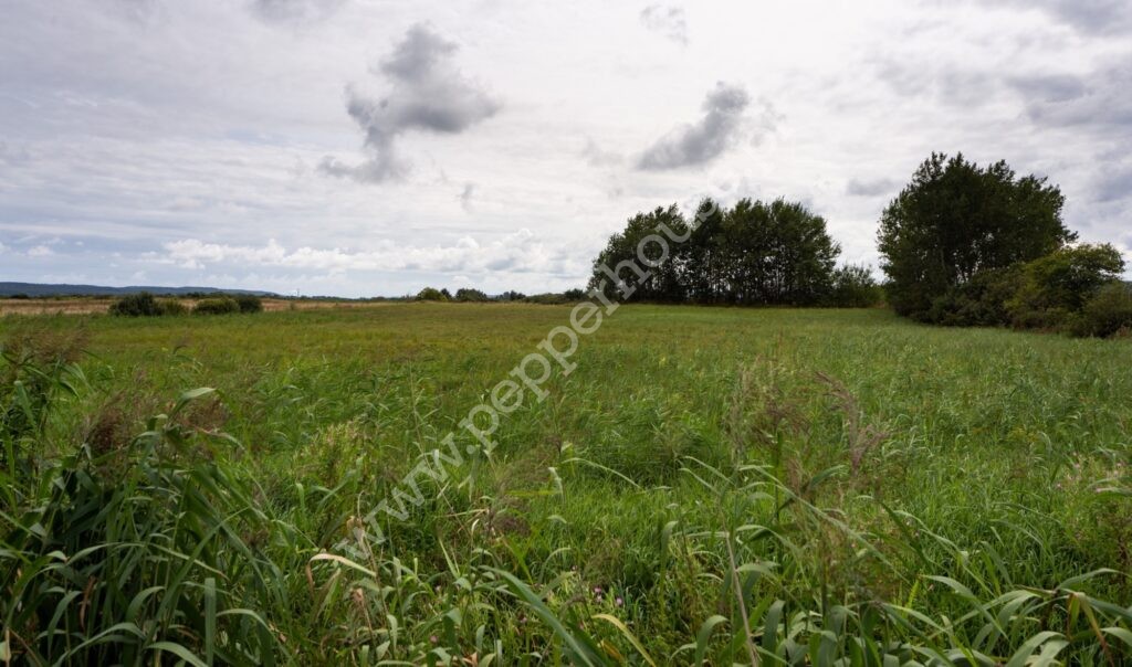 , pomorskie, Reda, Rolnicza - listing photo no. 11