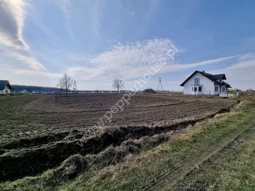 , pomorskie, Borowiec, Sosnowa - listing photo no. 3