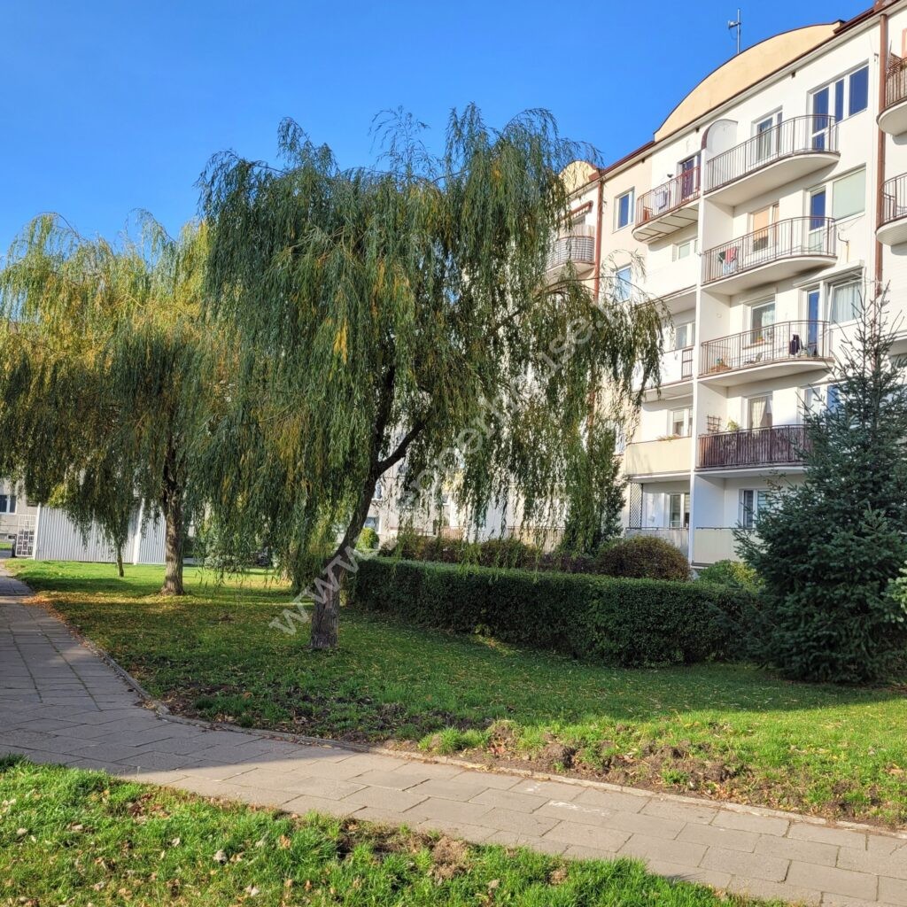 Mieszkanie na sprzedaż, Gdynia, Pogórze, Kontradmirała Stanisława Mieszkowskiego - zdjęcie ofertowe nr 12