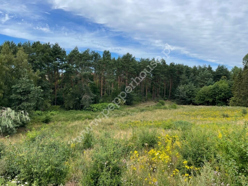 Działka na sprzedaż, pomorskie, Pierwoszyno - zdjęcie ofertowe nr 2