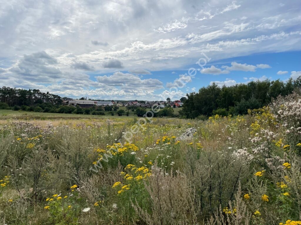 Działka na sprzedaż, pomorskie, Pierwoszyno - zdjęcie ofertowe nr 3