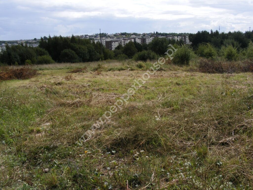 , Gdańsk, Jasień, Oliwkowa - listing photo no. 2