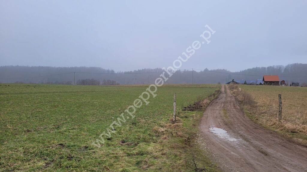 , pomorskie, Huta Dolna, Żurawi Trakt - listing photo no. 3