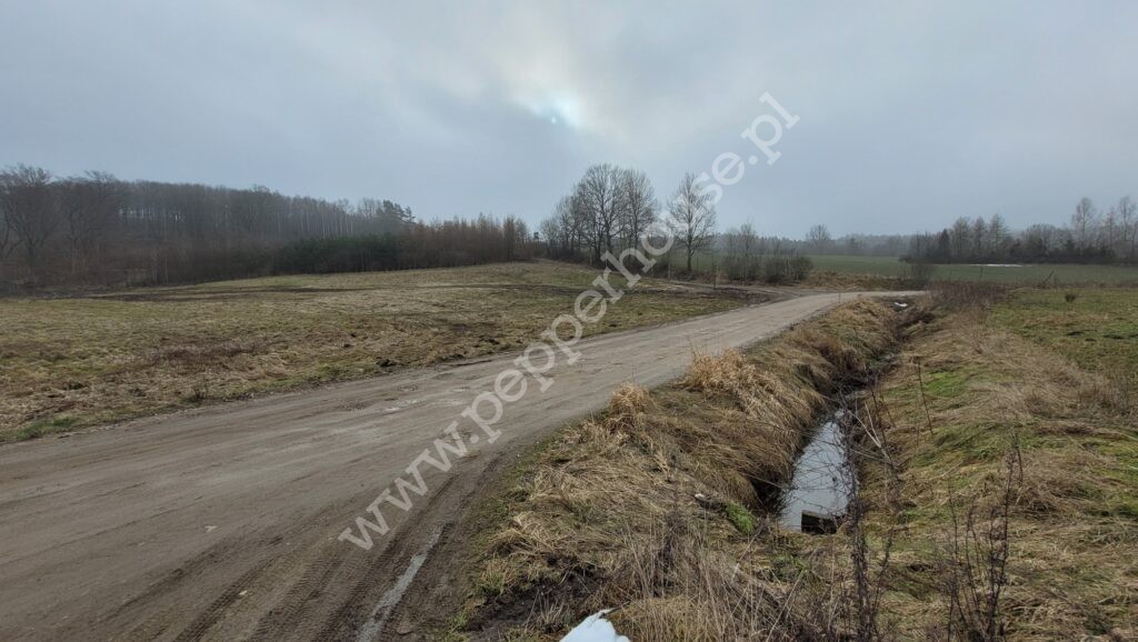 , pomorskie, Huta Dolna, Żurawi Trakt - listing photo no. 4