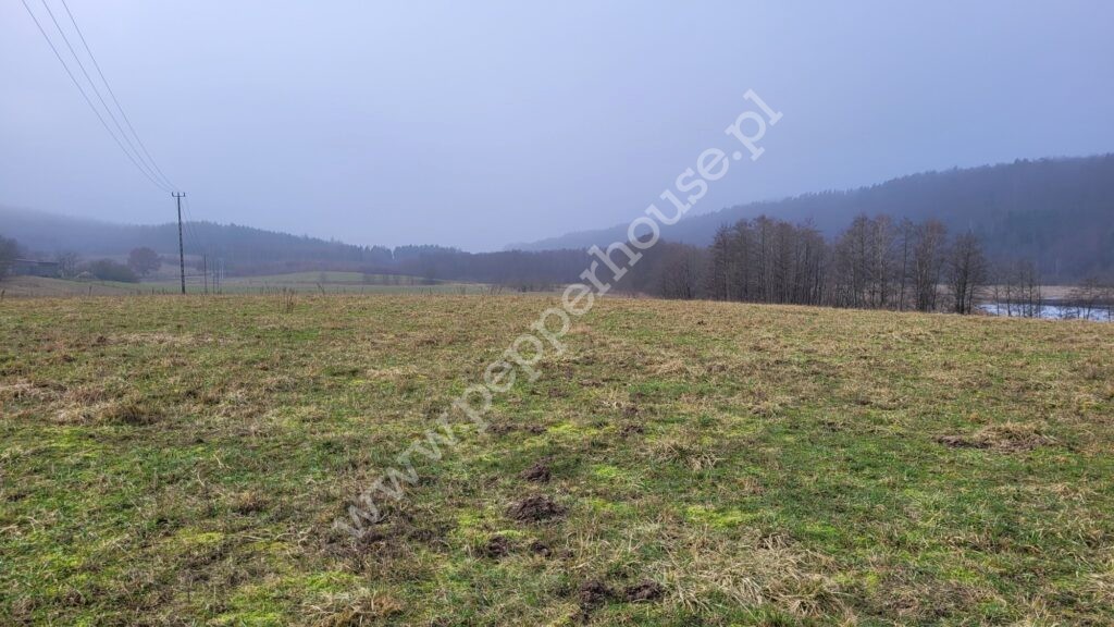 , pomorskie, Huta Dolna, Żurawi Trakt - listing photo no. 5