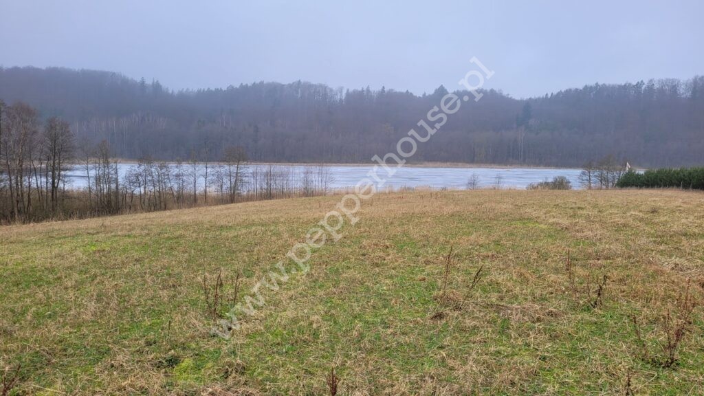 , pomorskie, Huta Dolna, Żurawi Trakt - listing photo no. 6