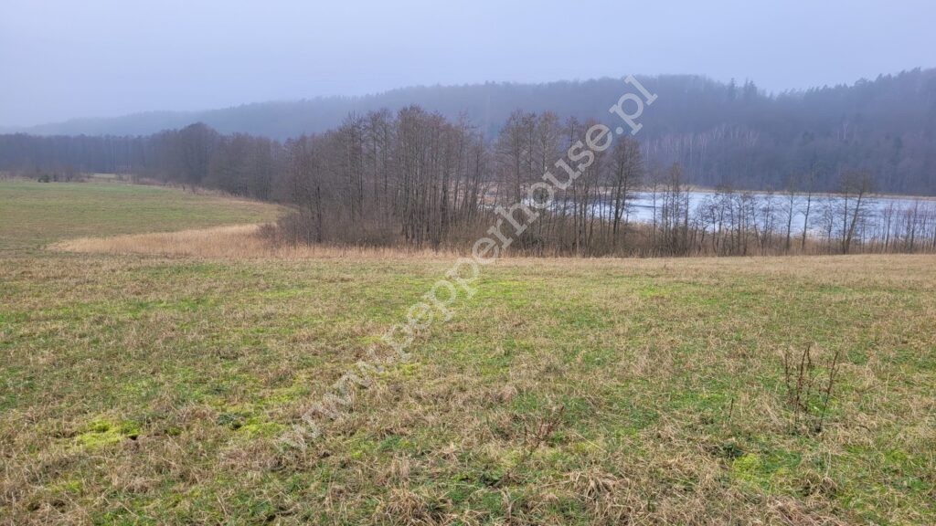 , pomorskie, Huta Dolna, Żurawi Trakt - listing photo no. 7