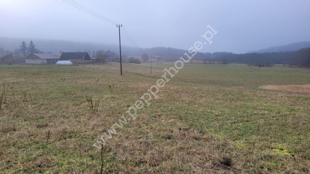 , pomorskie, Huta Dolna, Żurawi Trakt - listing photo no. 8