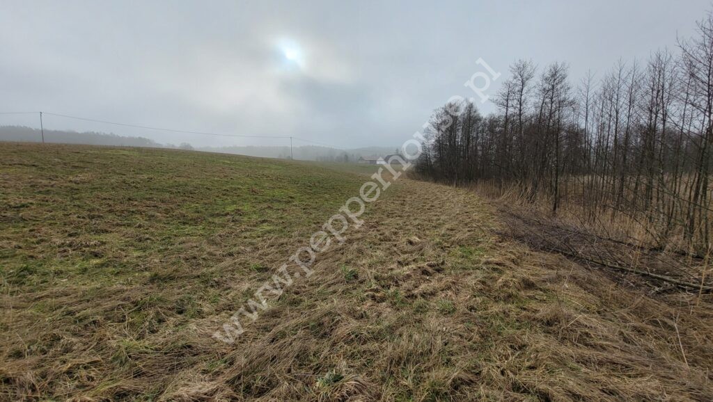 , pomorskie, Huta Dolna, Żurawi Trakt - listing photo no. 14