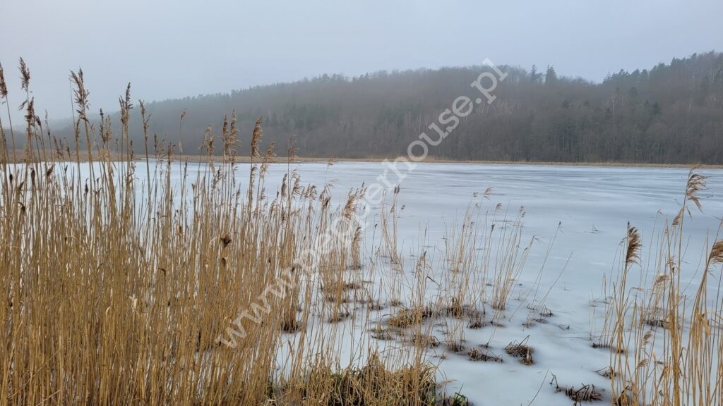, pomorskie, Huta Dolna, Żurawi Trakt - listing photo no. 1