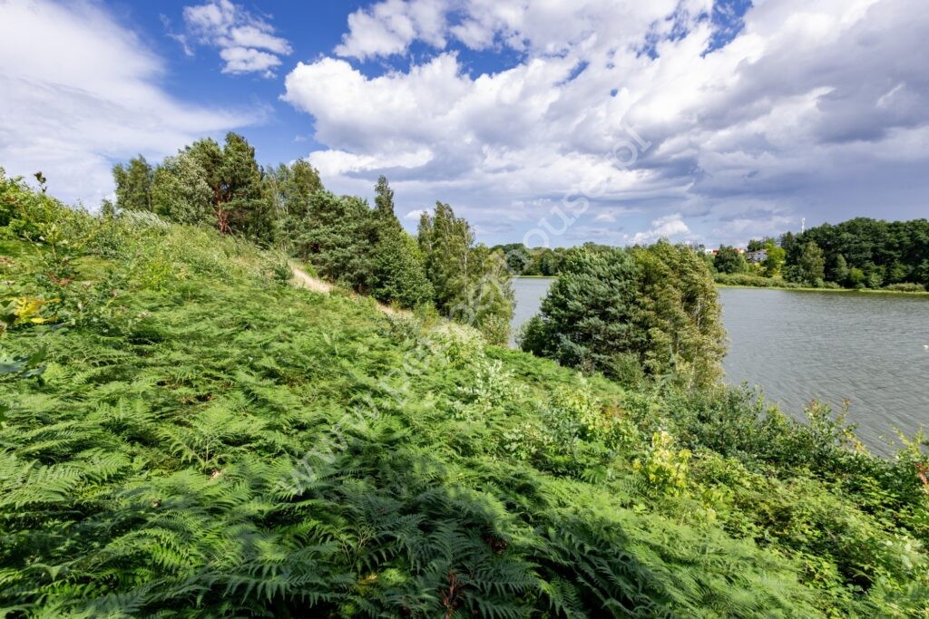 Dom na sprzedaż, Gdańsk, Osowa, Sambora - zdjęcie ofertowe nr 16