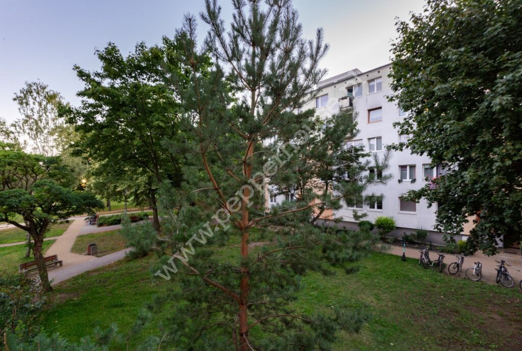 , Gdańsk, Jelitkowo, Orłowska - listing photo no. 8