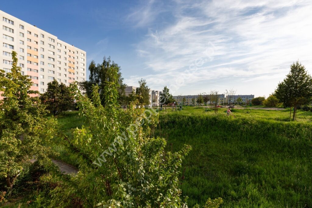 , Gdańsk, Morena, Romana Wyrobka - listing photo no. 13