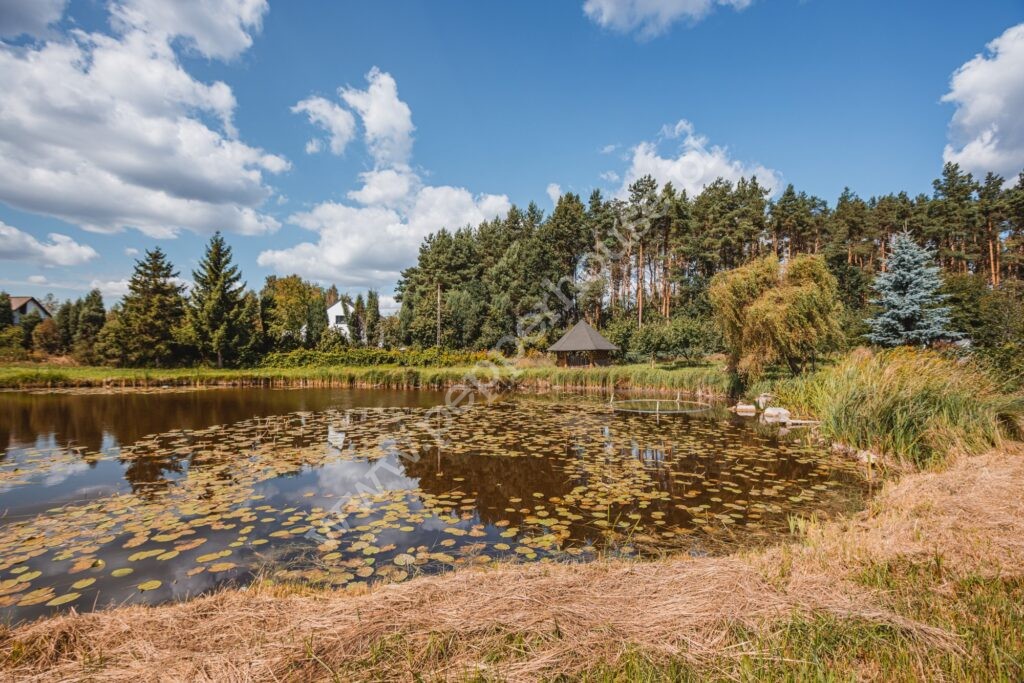 Dom na sprzedaż, kujawsko-pomorskie, Wałdowo Królewskie, Osiedlowa - zdjęcie ofertowe nr 23