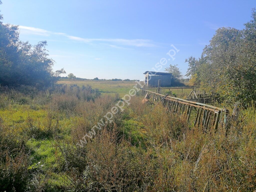 Dom na sprzedaż, pomorskie, Wykosowo - zdjęcie ofertowe nr 10