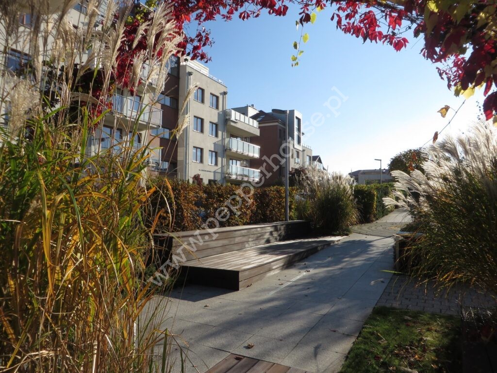 , Gdynia, Chwarzno-Wiczlino, Czesława Niemena - listing photo no. 11