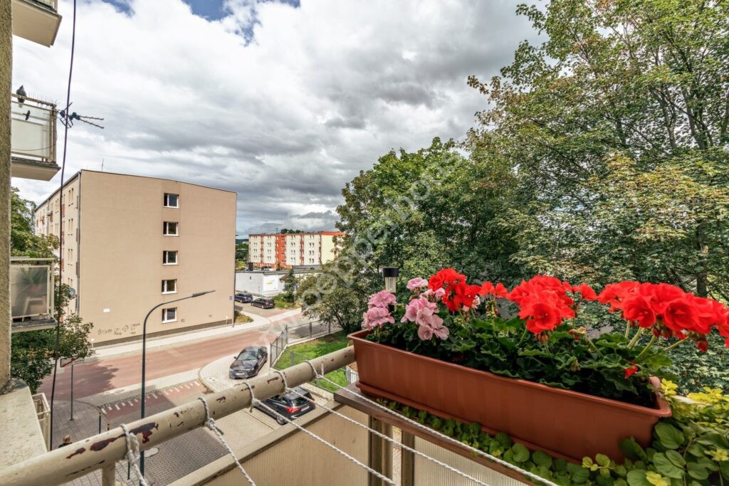 Mieszkanie do wynajęcia, Gdynia, Leszczynki, Ludwika Zamenhofa - zdjęcie ofertowe nr 10