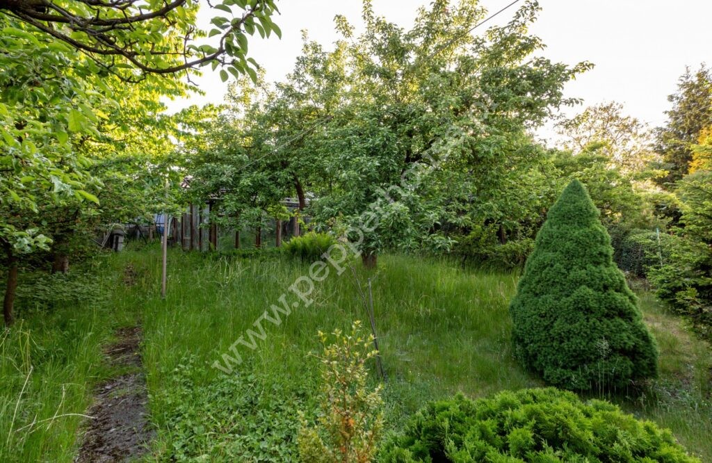 , pomorskie, Reda, Leśna - listing photo no. 12