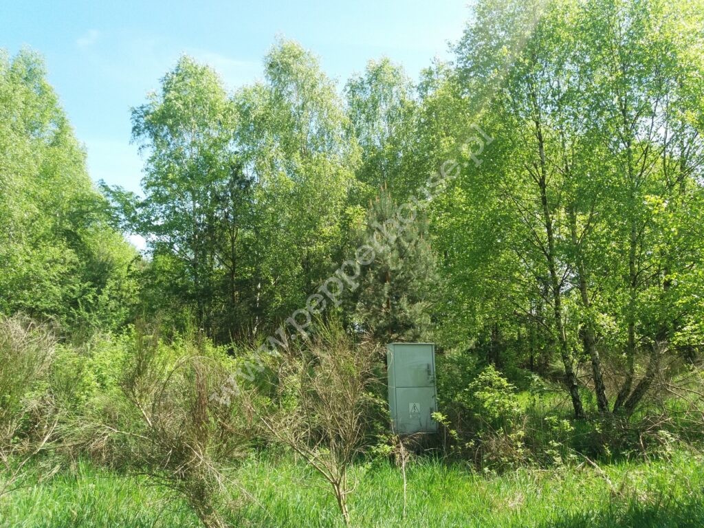 Działka na sprzedaż, pomorskie, Łężyce, Brzozowa - zdjęcie ofertowe nr 1