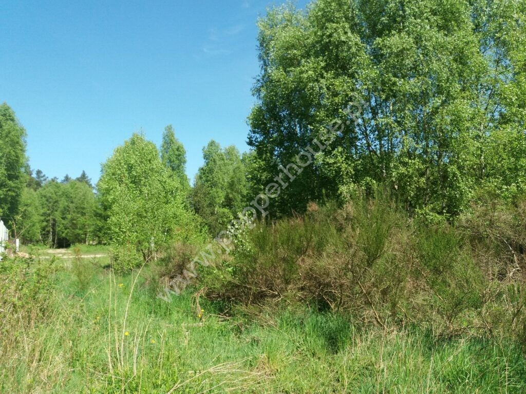 Działka na sprzedaż, pomorskie, Łężyce, Brzozowa - zdjęcie ofertowe nr 8