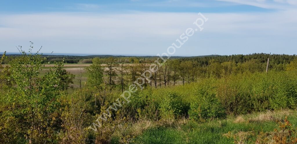 Działka na sprzedaż, pomorskie, Ulinia - zdjęcie ofertowe nr 3