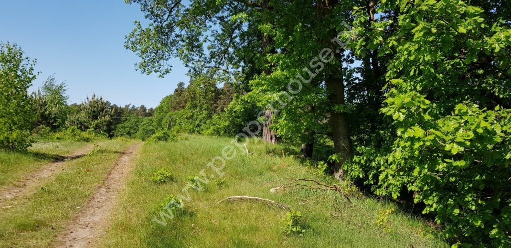 Działka na sprzedaż, pomorskie, Ulinia - zdjęcie ofertowe nr 4