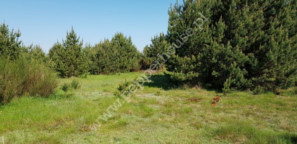Działka na sprzedaż, pomorskie, Ulinia - zdjęcie ofertowe nr 6