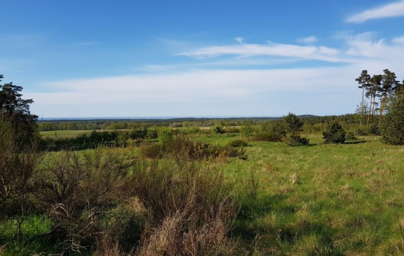 Działka na sprzedaż, pomorskie, Ulinia