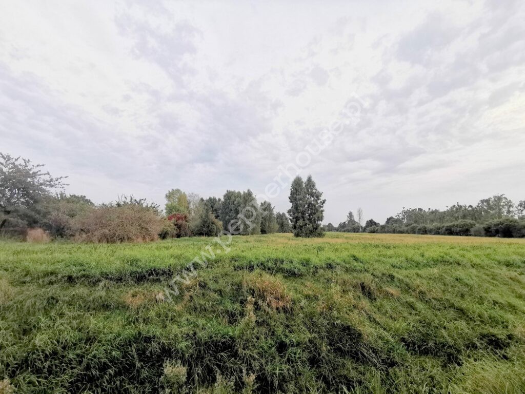 Działka na sprzedaż, pomorskie, Rumia, Spacerowa - zdjęcie ofertowe nr 3