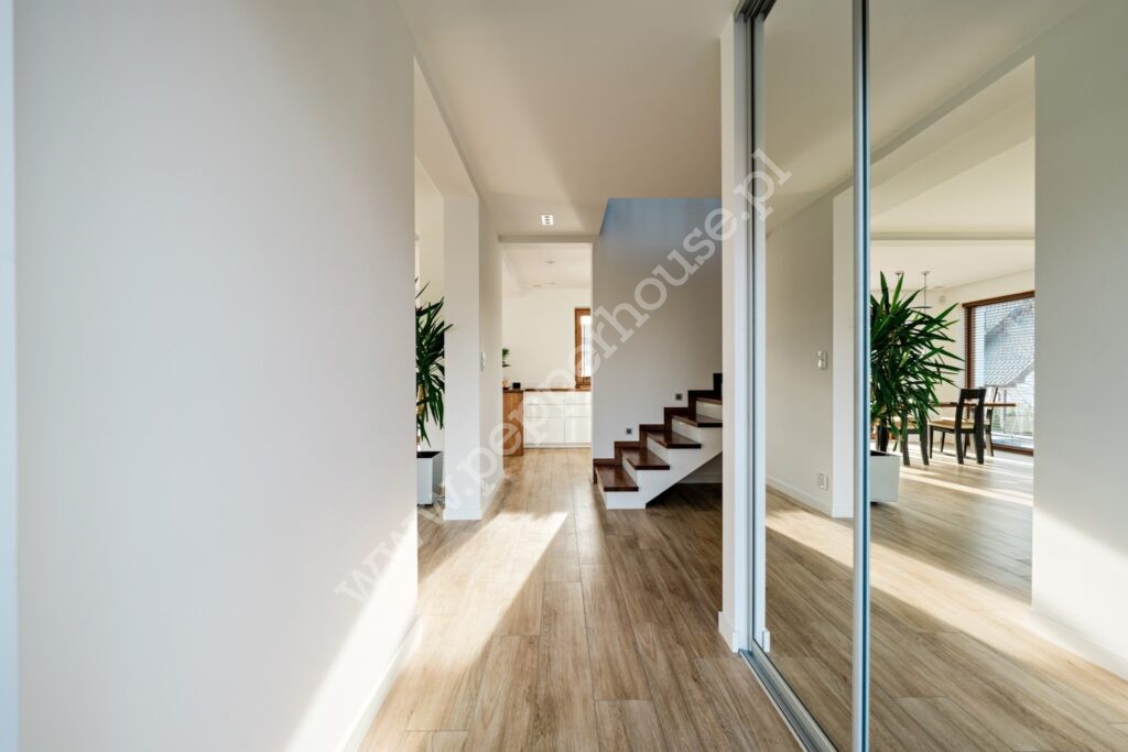 , pomorskie, Bielkowo, Paproci - listing photo no. 6