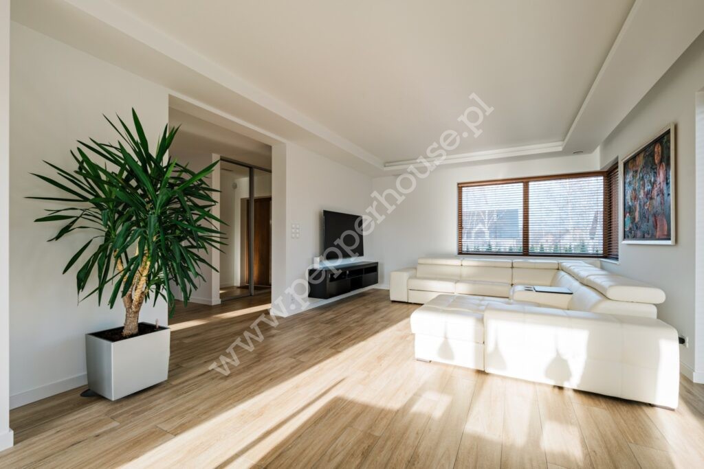, pomorskie, Bielkowo, Paproci - listing photo no. 4