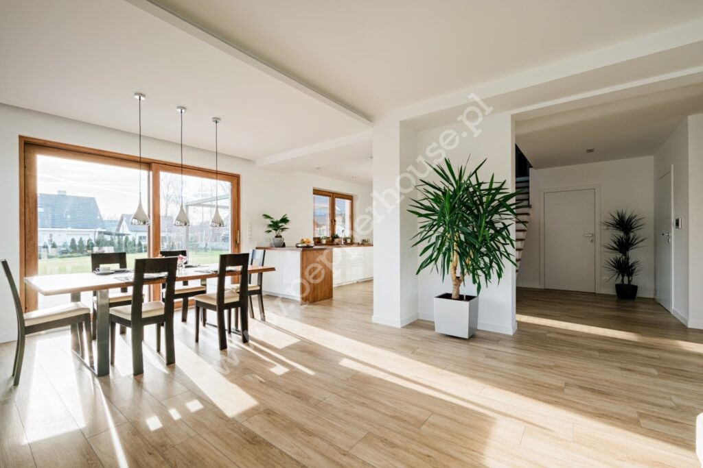 , pomorskie, Bielkowo, Paproci - listing photo no. 3