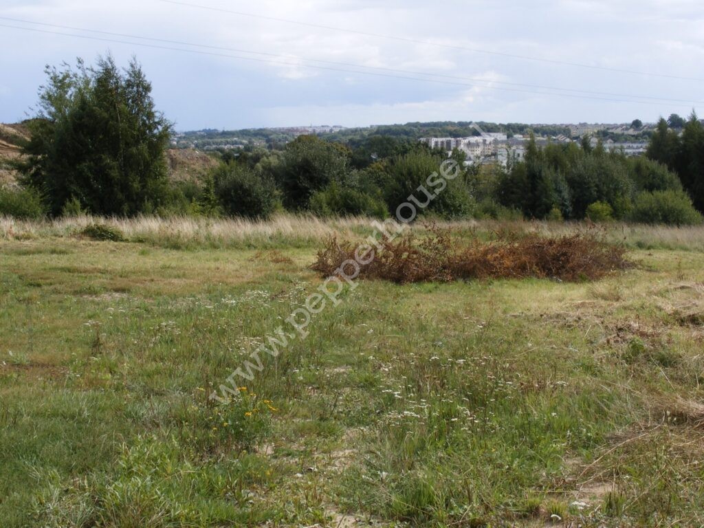 , Gdańsk, Jasień, Oliwkowa - listing photo no. 1