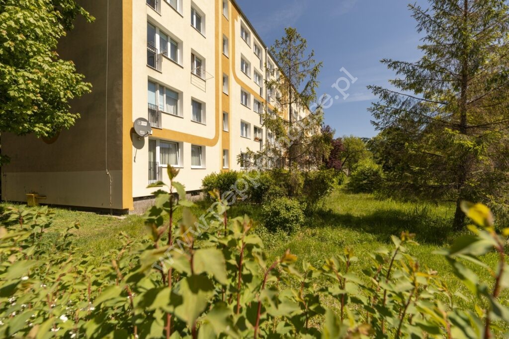 , Gdańsk, Przymorze, Chłopska - listing photo no. 12