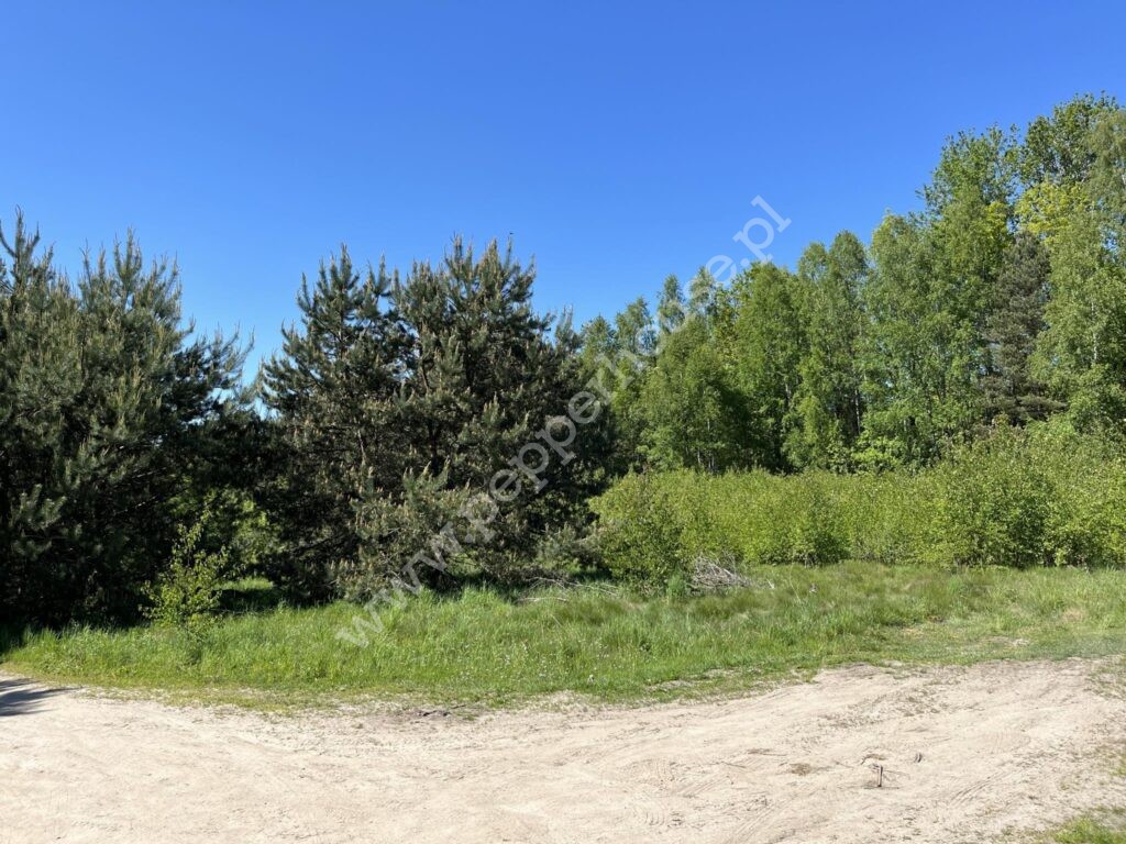 , pomorskie, Koleczkowo, gen. Andersa - listing photo no. 3