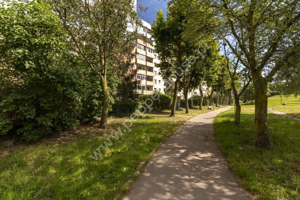 , Gdańsk, Zaspa, Żwirki i Wigury - listing photo no. 14