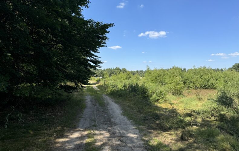 Działka na sprzedaż, pomorskie, Strzebielino